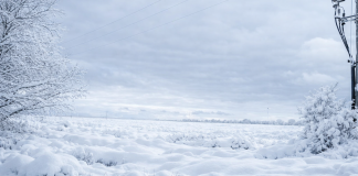 Strefa północna. Termin minął, pozwolenia ZRID nie ma