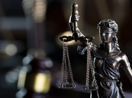 Co wiemy o sprawie z Budowlanki – a czego jeszcze nie wiemy