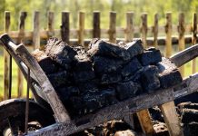 Czas torfu. Kluki zapraszają na Czarne Wesele