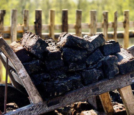 Czas torfu. Kluki zapraszają na Czarne Wesele