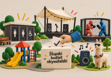 Disco polo przed festiwalami, milion na toalety. Co mówią wyniki Słupskiego Budżetu Obywatelskiego?