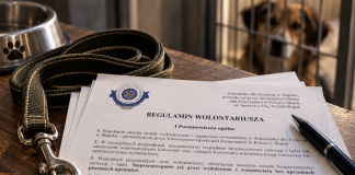 Pomagać, milczeć, nie protestować? Co naprawdę podpisują wolontariusze słupskiego schroniska