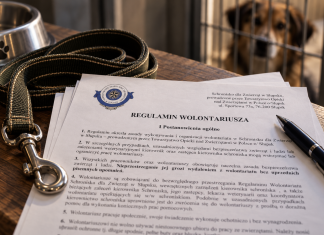 Pomagać, milczeć, nie protestować? Co naprawdę podpisują wolontariusze słupskiego schroniska